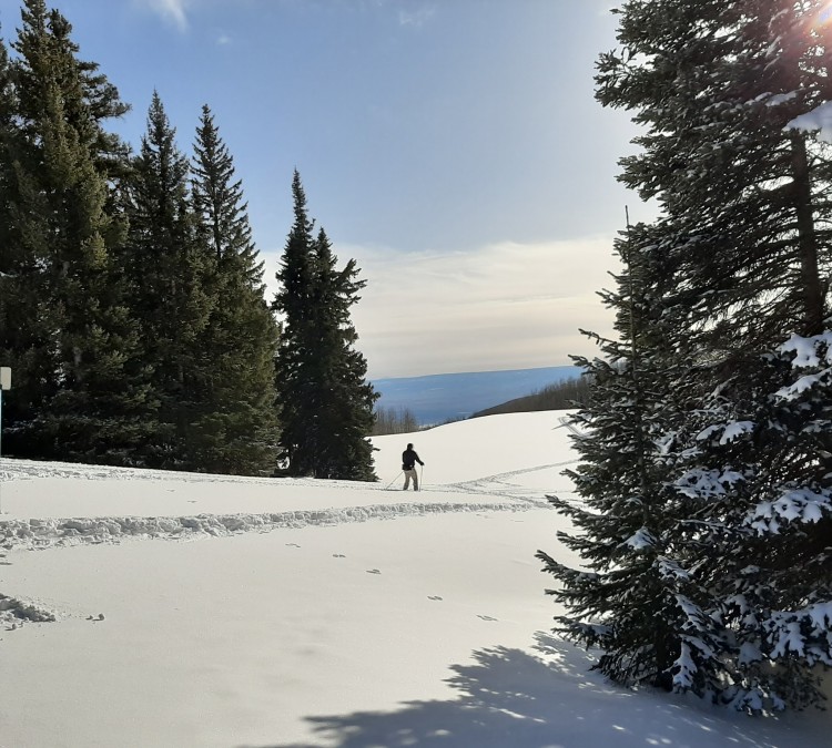 Ward Ski Trailhead (Cedaredge,&nbspCO)